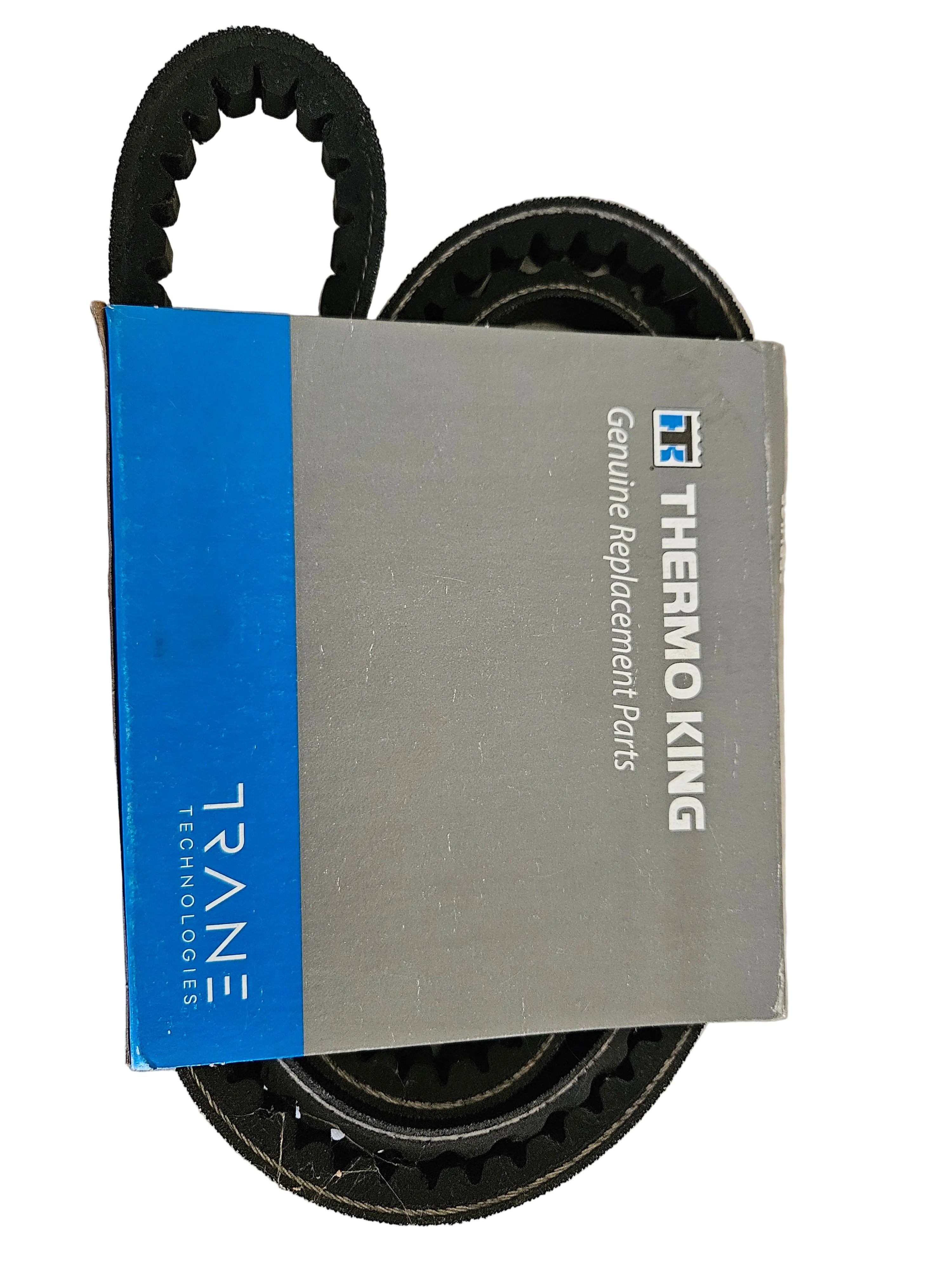 THermo King Belt, Fan, Cogged - 780603